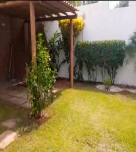 evva-terapeuta-em-lauro-de-freitas_17_10_2025_04