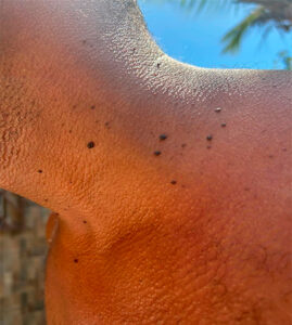 eliene-massoterapeuta-em-salvador_31_03_2026_03