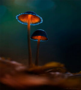 helena-massoterapeuta-em-lauro-de-freitas_23_02_2026_05