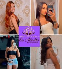las-afrodites-em-feira-de-santana_07_08_2025